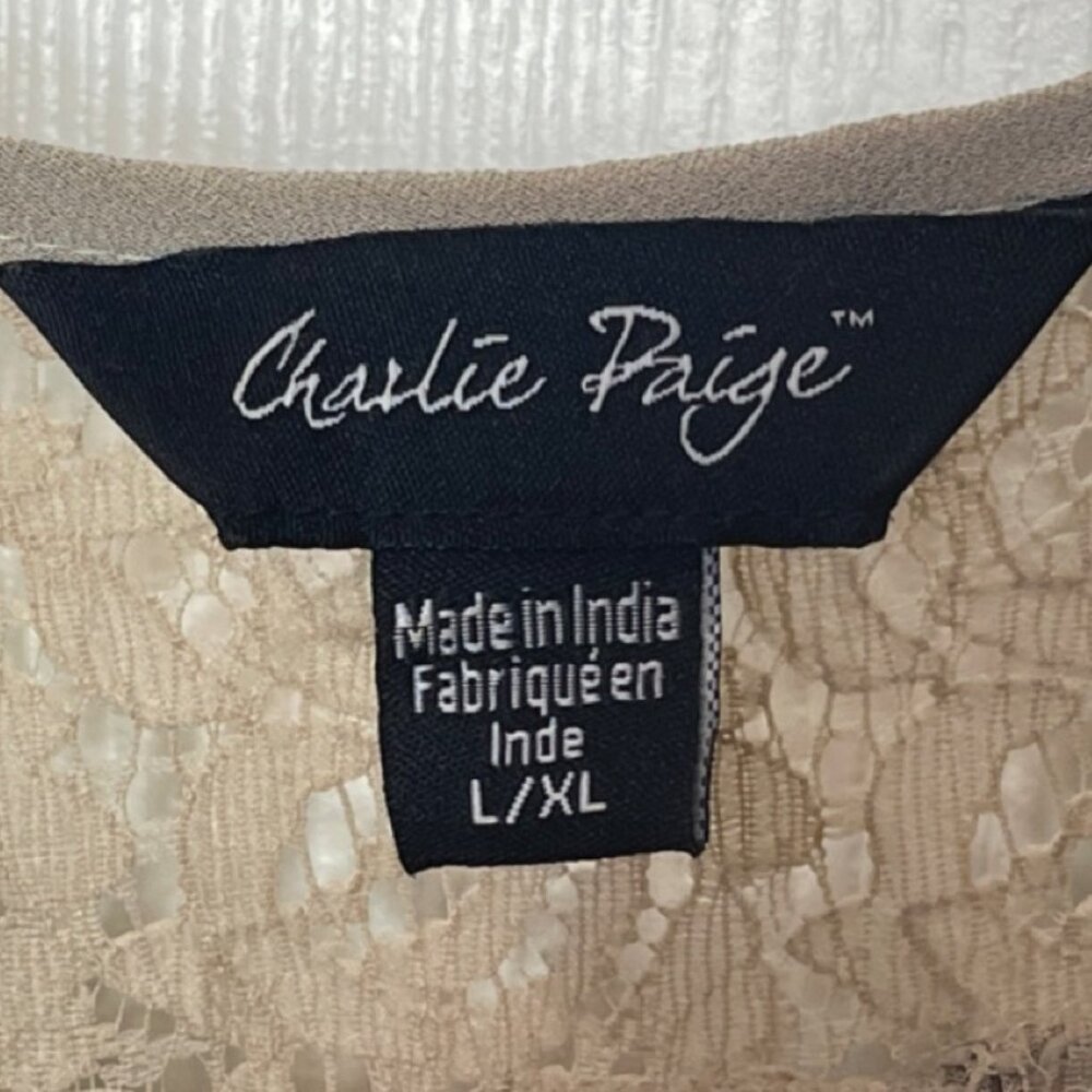 CHARLIE PAIGE | Womens Neutral Nude Pleated Chiffon Mini Dress | Size L/XL - Picture 7 of 11